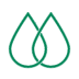 Estande de Plantas
