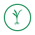 Estande de Plantas