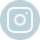 icone instagram