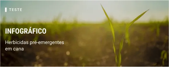 Infográfico. Herbicidas pré-emergentes em cana