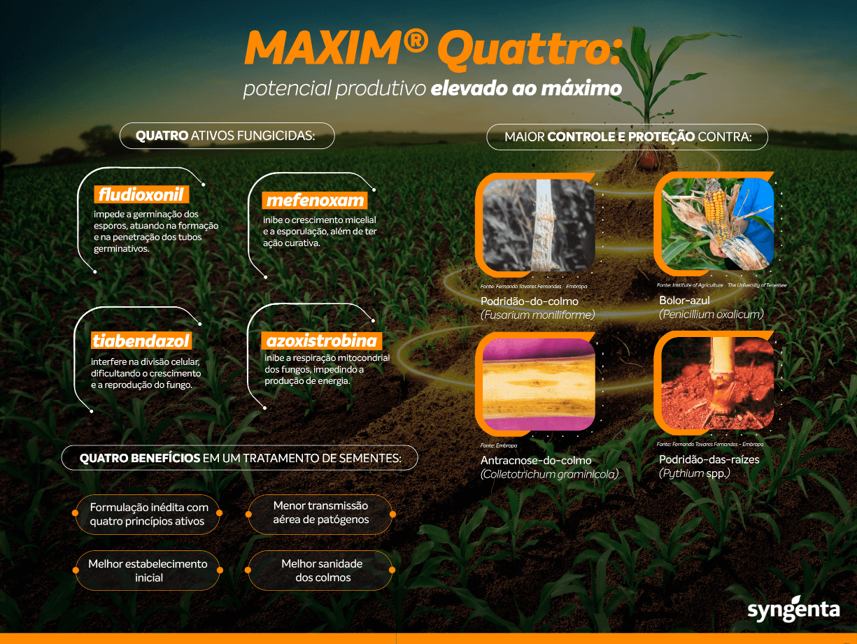 Potencial produtivo elevado ao máximo