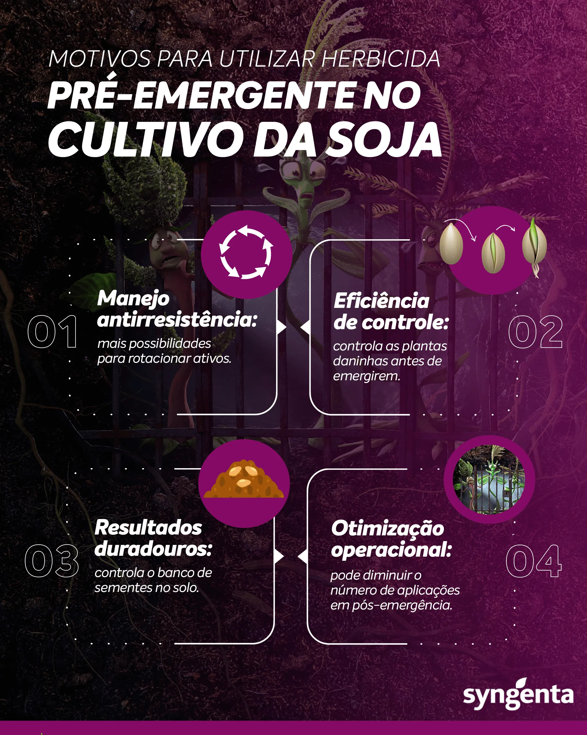 Posicionamento na soja