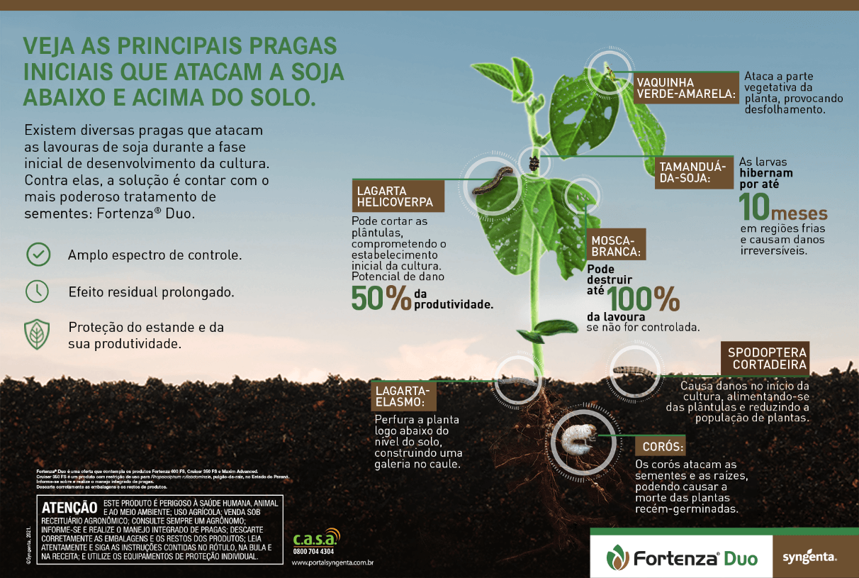 Veja as principais pragas iniciais que atacam a soja abaixo e acima do solo