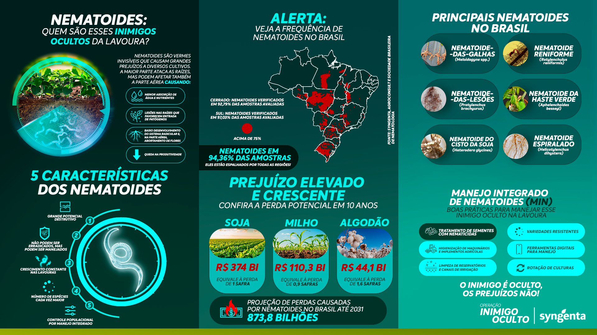 Infográficos sobre nematóides