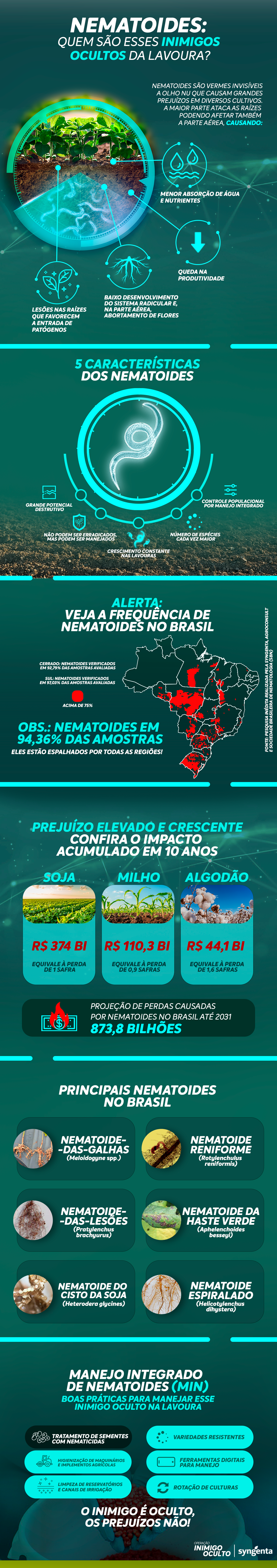 Infográfico sobre nematóides