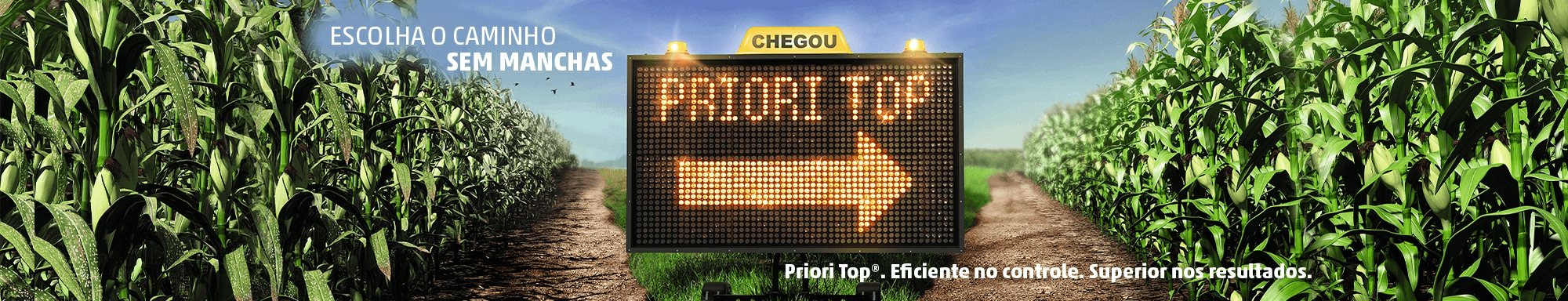 Fungicida priori top