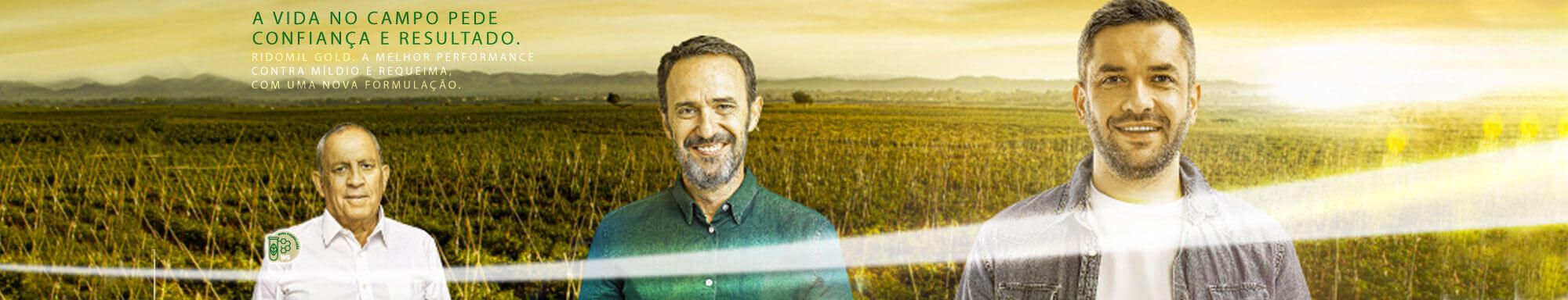 Ridomil Gold WG - Diagnóstico: As doenças em hortifrúti podem impactar toda a cadeia produtiva.