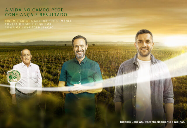 Ridomil Gold WG - Diagnóstico: As doenças em hortifrúti podem impactar toda a cadeia produtiva.