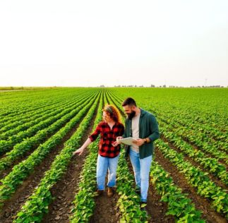 Plataforma Acessa Agro