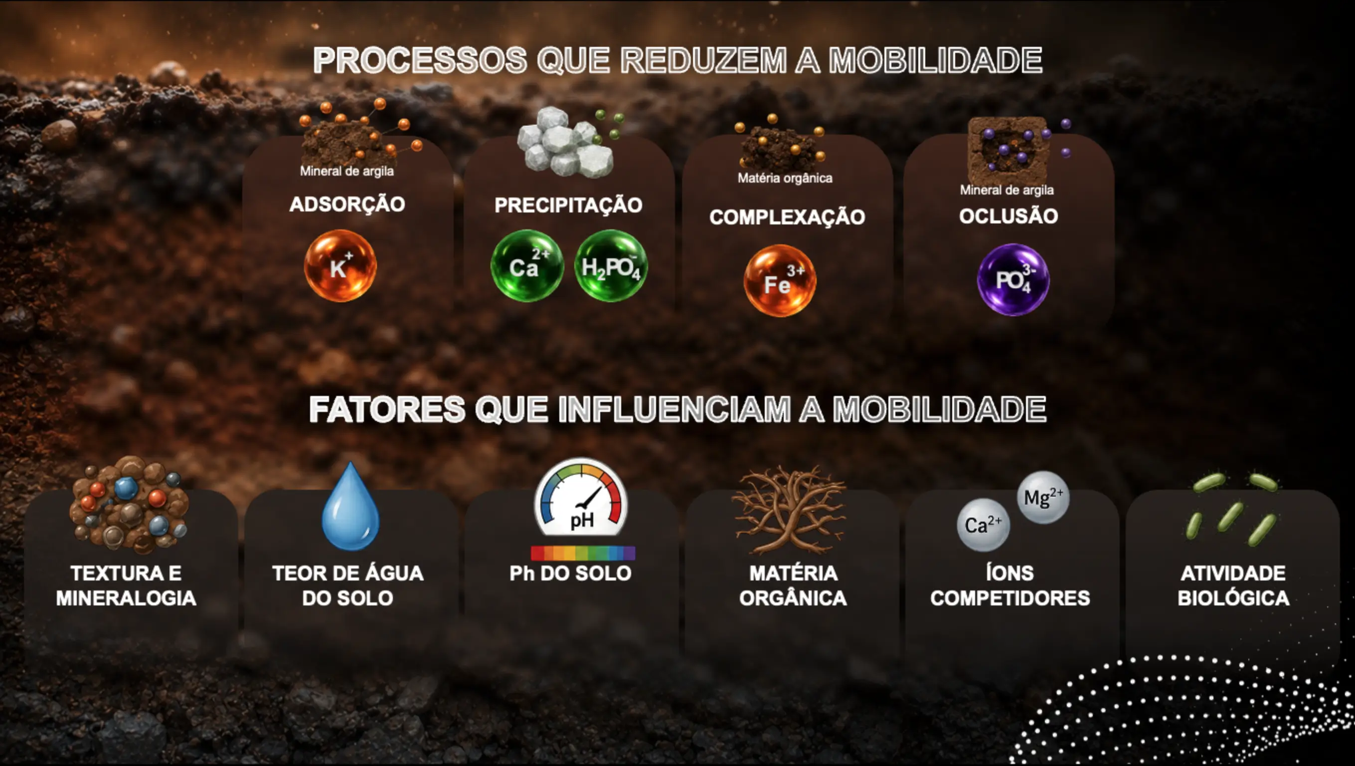Processo que reduzem a mobilidade