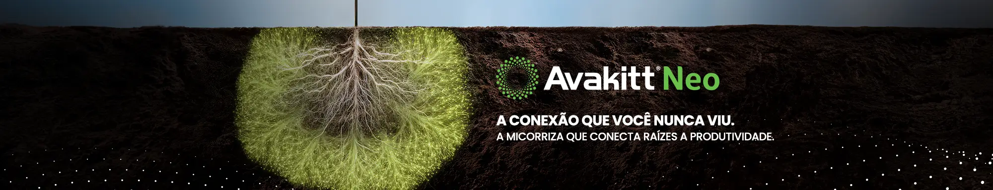 Inseticida Engeo Pleno S: choque e residual sem igual