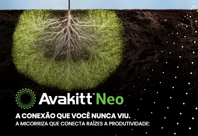 Inseticida Engeo Pleno S: choque e residual sem igual