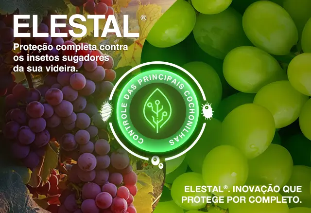 Elestal 300