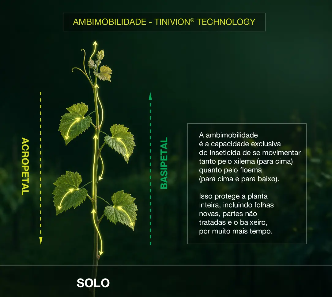 Ambimobilidade - Tinivion Technology