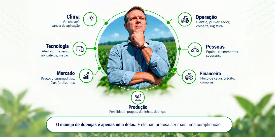 Produtor toma decisões