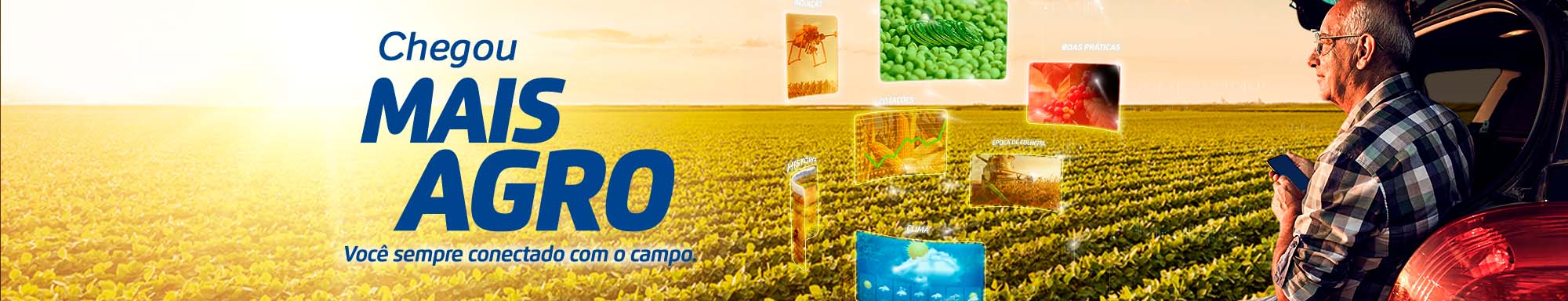 Cypress, fungicida multipotente da soja