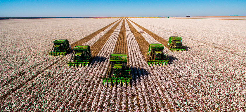 This image has been removed. For security reasons, only images from the local domain are allowed. Image removed.